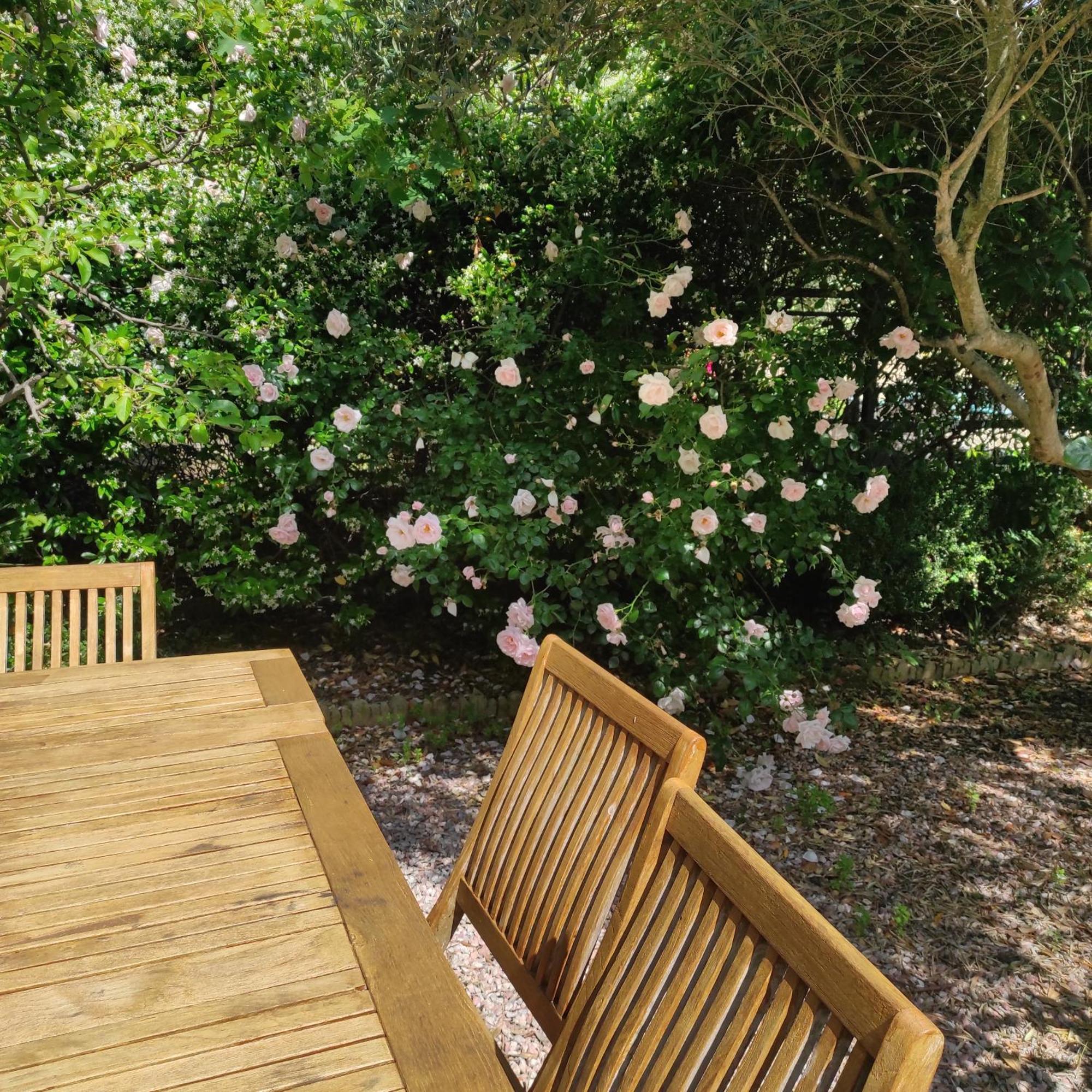 Villa Angel - Spa Caunes-Minervois Zewnętrze zdjęcie