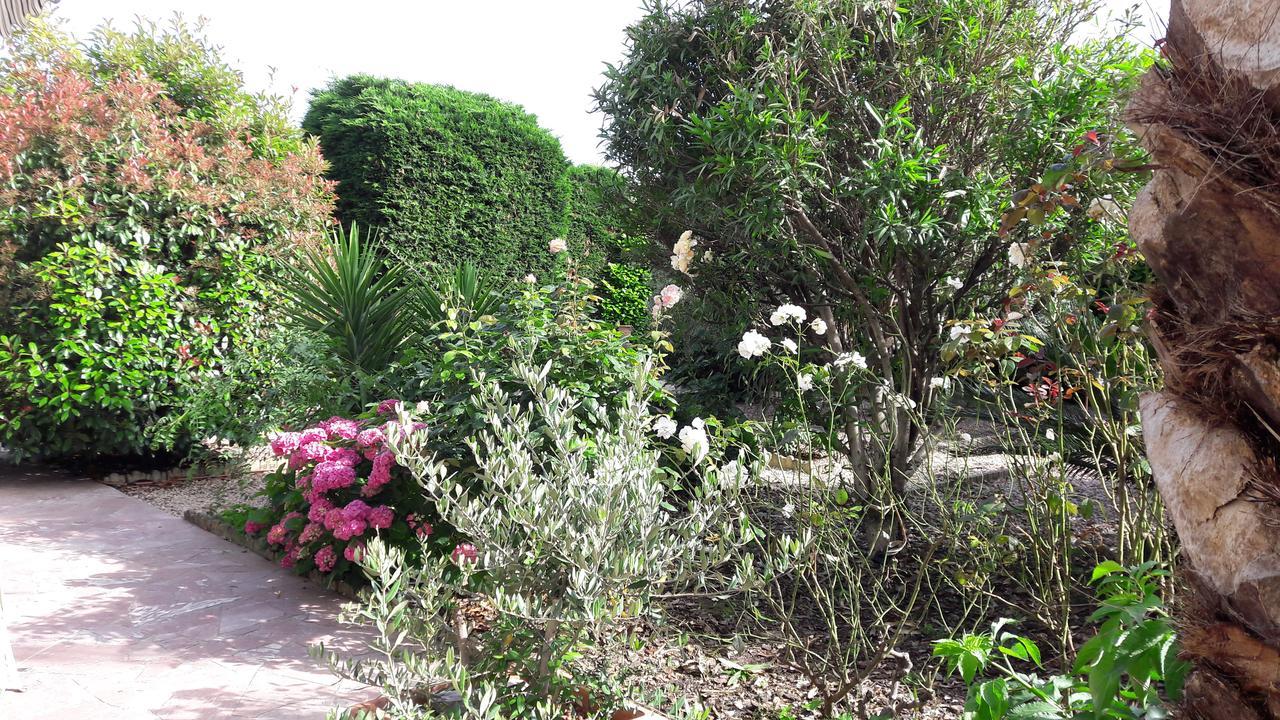 Villa Angel - Spa Caunes-Minervois Zewnętrze zdjęcie